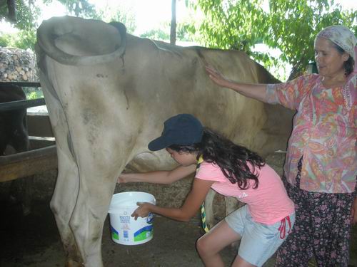 /Gelisim2009Images/feimg/izcilik/summer12_1.jpg